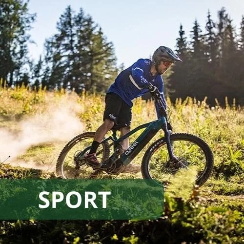 Sport