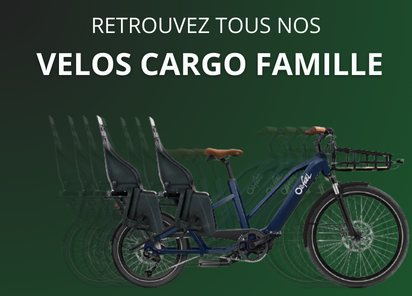 Velo cargo famille