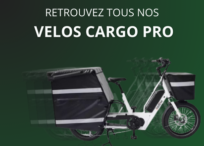 Velo cargo pro