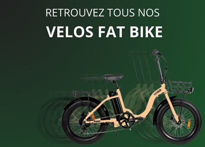 Vélos fat bike