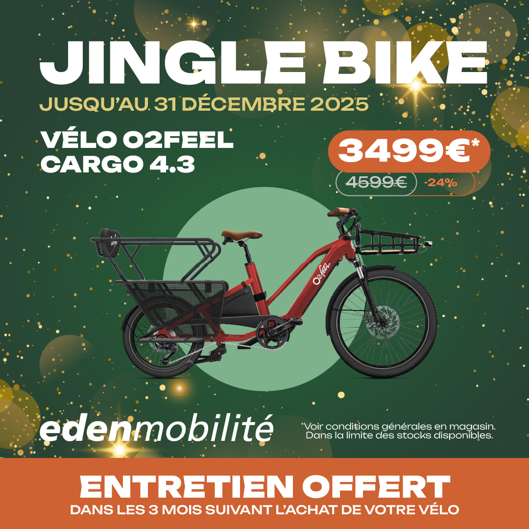 JINGLE BIKE EQUO4.3