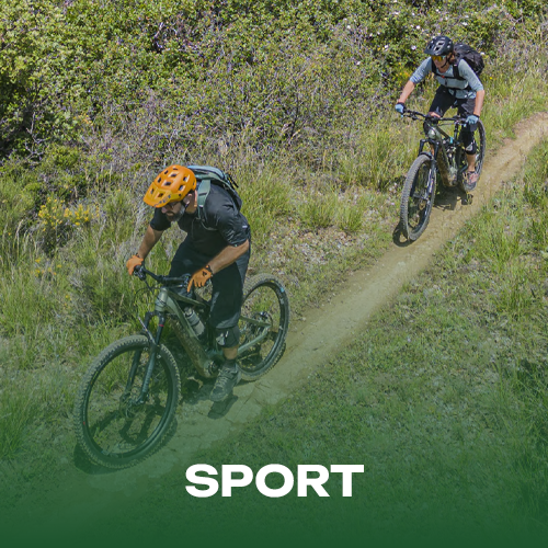 Sport