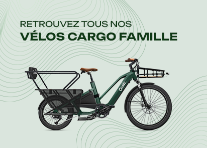 Velo cargo famille