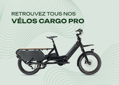 Velo cargo pro
