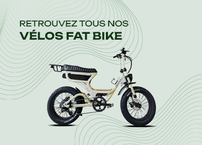 Vélos fat bike
