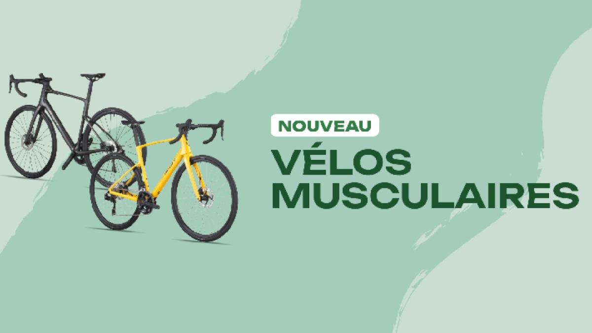 C'est officiel : le vélo musculaire fait son arrivée chez edenmobilité !