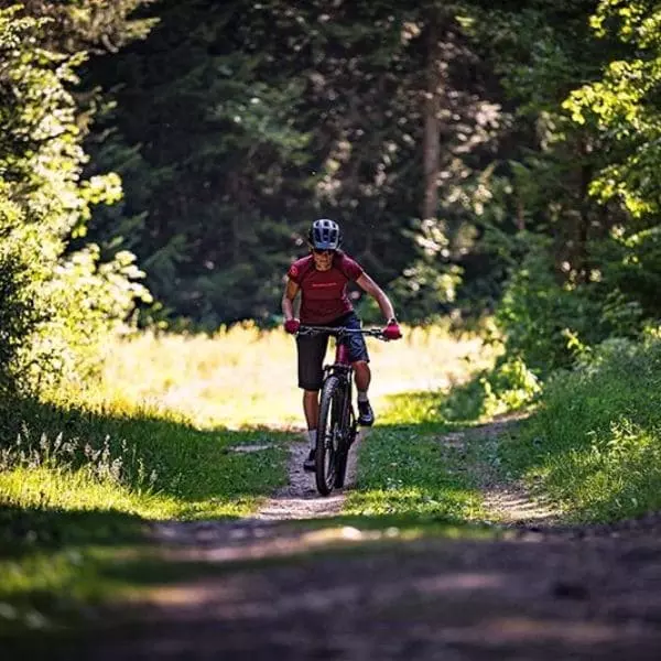 Un vélo à assistance électrique équipé de freins Shimano