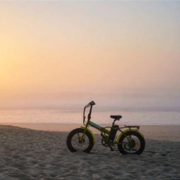 Le Ti-tiny est un vélo polyvalent : pour le sable et la ville