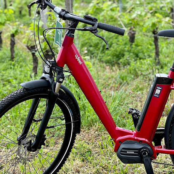 Saint-émilion en vélo électrique