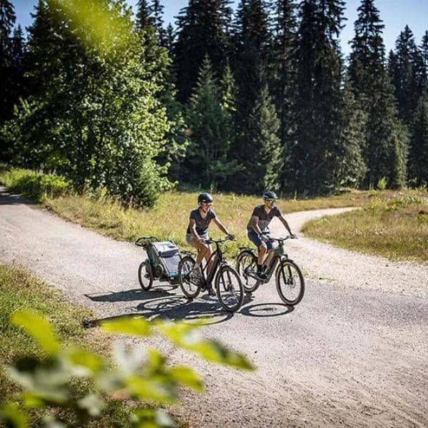 Un vélo performant quel que soit la route