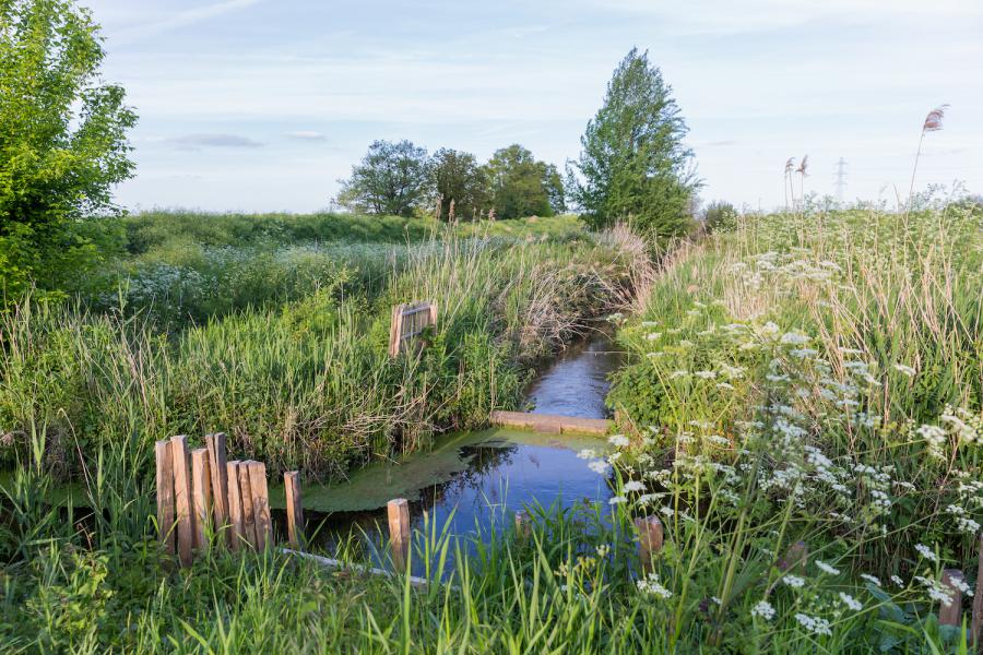 Marais de Bruges à bordeaux en vélo électrique 